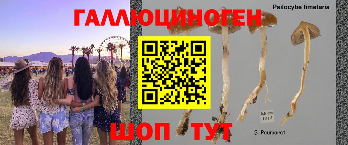 Серпухов  Галлюциногенные грибы MAGIC MUSHROOMS  Галлюциногенные грибы прущие грибы  Вход с VPN 
