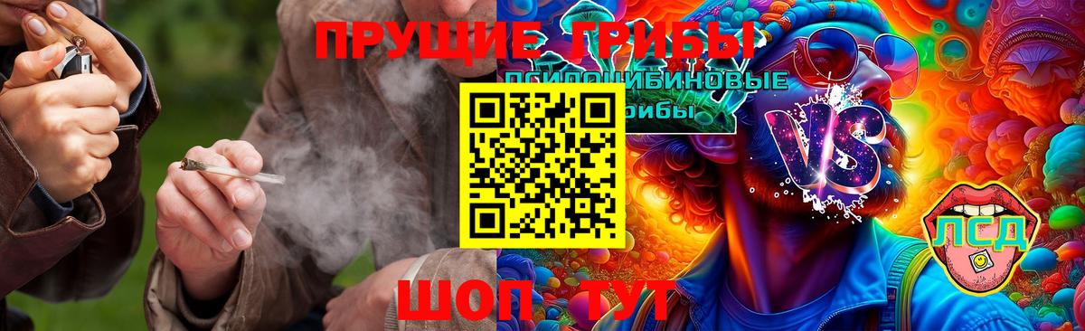 Псилоцибиновые грибы GOLDEN TEACHER Серпухов